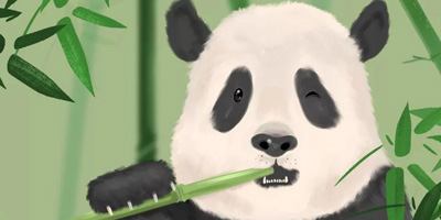 首个中国大熊猫国际形象出炉，网友看后不经“噗”的笑出声