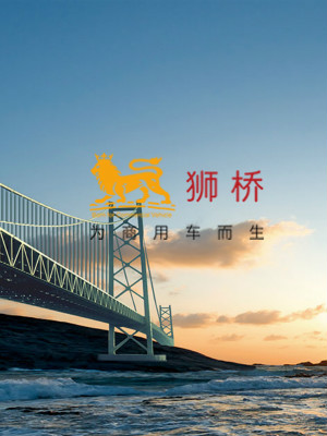 狮桥资本网页设计